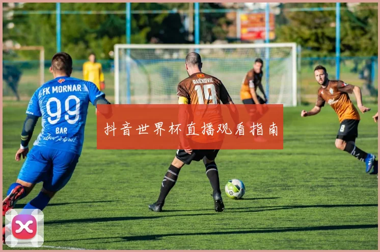 抖音世界杯直播观看指南