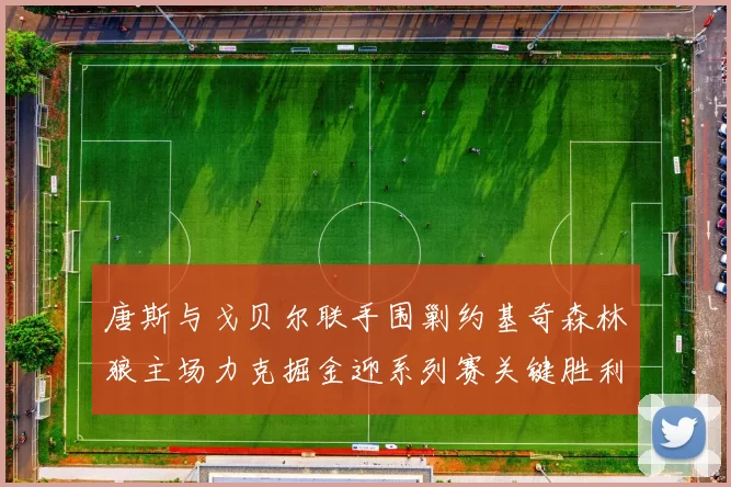唐斯与戈贝尔联手围剿约基奇森林狼主场力克掘金迎系列赛关键胜利