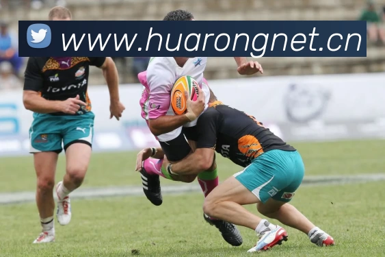 九游·官方J9站网站入口 - 九游(中国)平台生态图